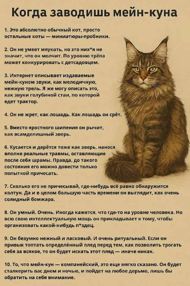 Веселые мемы