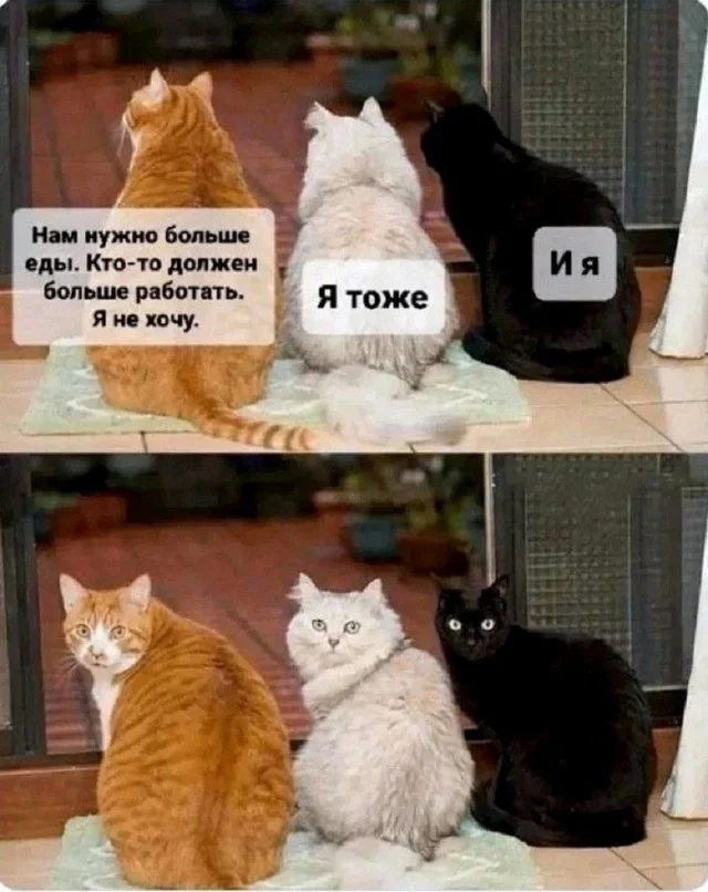 Свежие мемы