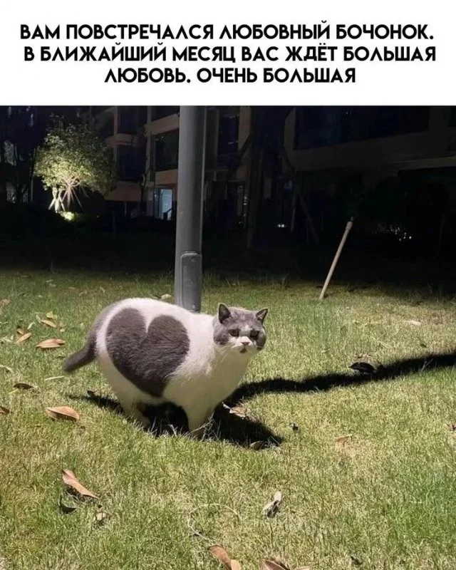 Смешные скрины из соцсетей #125 Смешные скрины из соцсетей #125