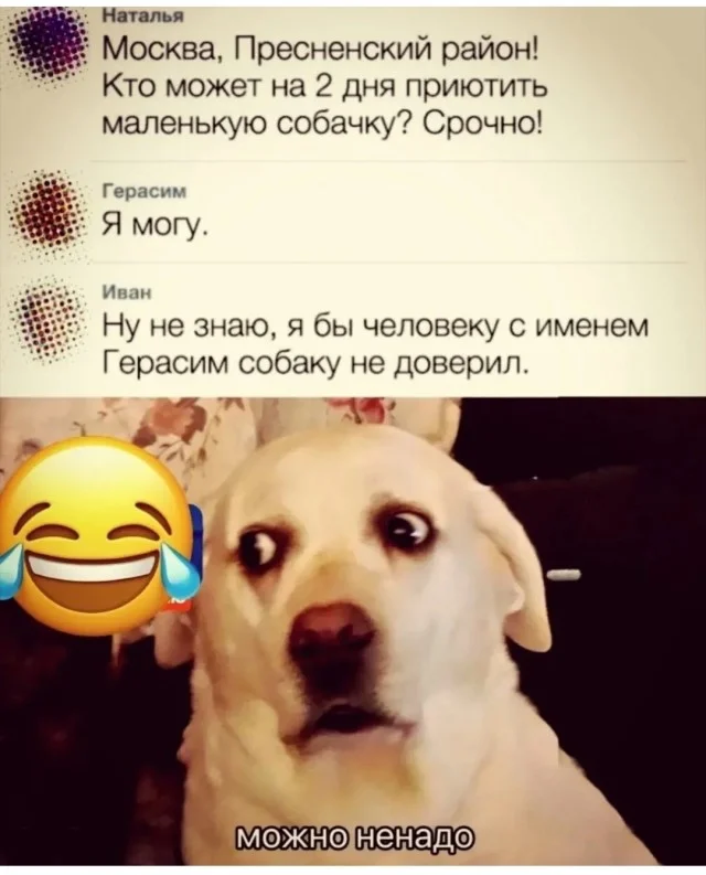 Свежие мемы
