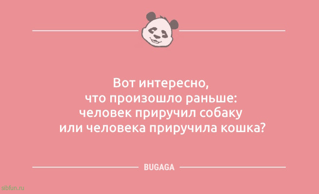 Шутки и анекдоты: «Бабушка принесла свой сотовый…» 