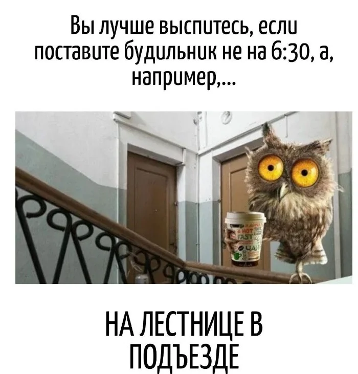 Игра слов – каламбуры, словесный юмор и прикольные картинки #130