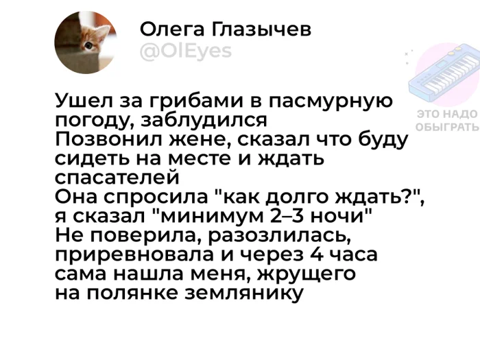 Осенний лес в красках: подборка тёплых и атмосферных фотографий