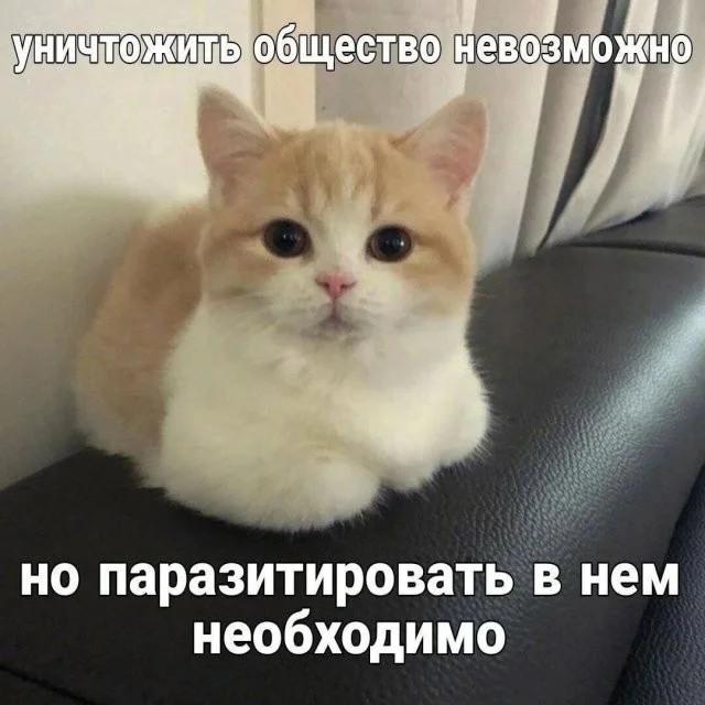 Смешные скрины из соцсетей #119 Смешные скрины из соцсетей #119