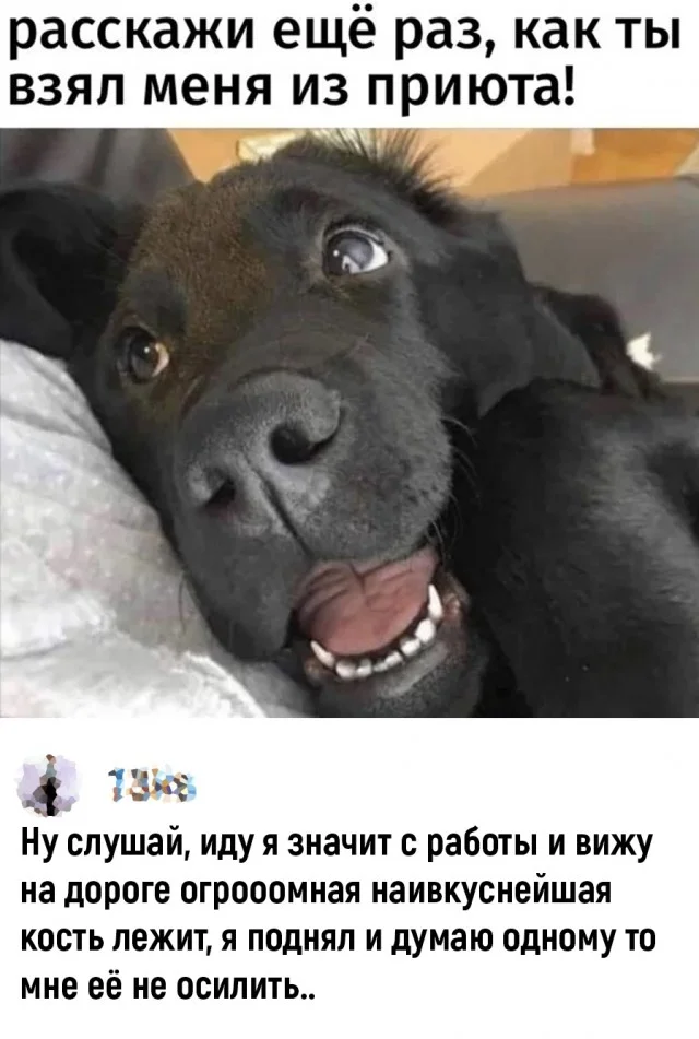 Прикольные мемы на каждый день!