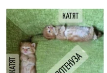 Игра слов – каламбуры, словесный юмор и прикольные картинки #128