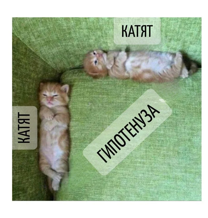 Игра слов – каламбуры, словесный юмор и прикольные картинки #128 Игра слов – каламбуры, словесный юмор и прикольные картинки #128