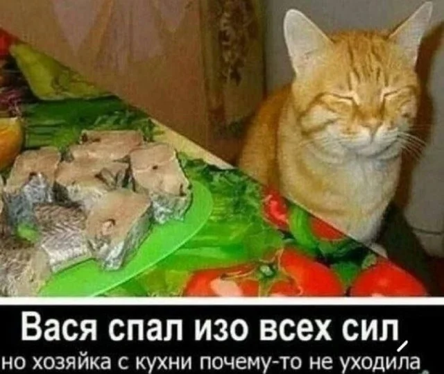 Классные мемы