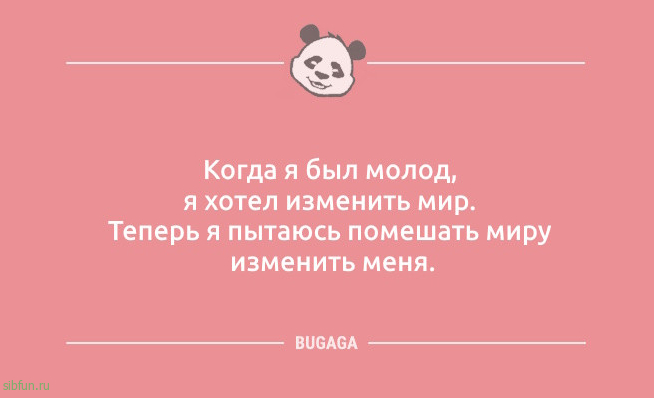 Шутки и анекдоты: «Бабушка принесла свой сотовый…» 