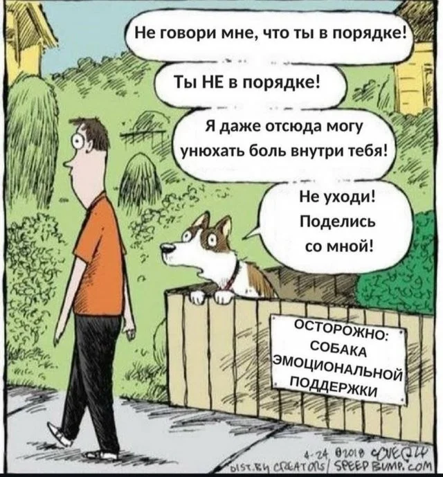 Смешные скрины из соцсетей #124 Смешные скрины из соцсетей #124