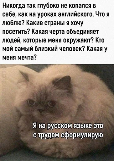 Мемы в ленту #2