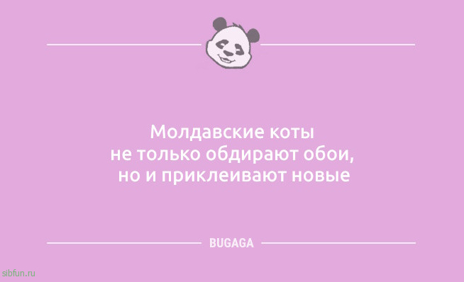 Анекдоты в пятницу: «Он подарил мне 101 розу…» Анекдоты в пятницу: «Он подарил мне 101 розу…»