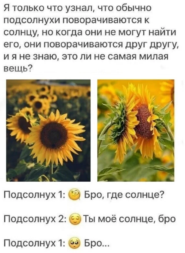 Свежие мемы