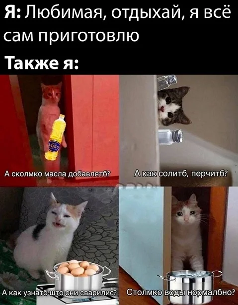 Мемы в ленту #2