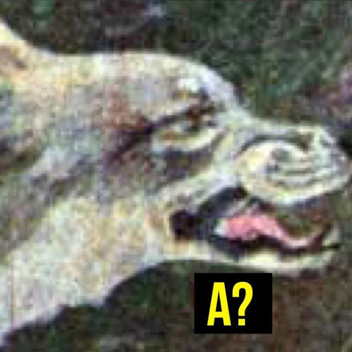 Красная шапочка 2.0 English version