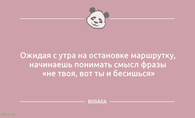 Анекдоты дня: «Что-то тараканы в голове притихли…» 