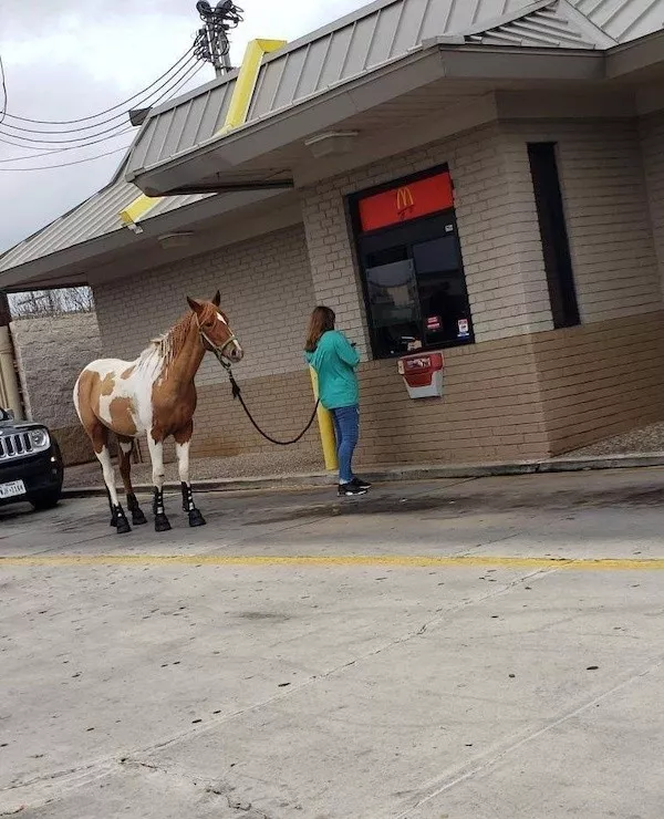 20 смешных ситуаций, которые напоминают: радость рядом 20 смешных ситуаций, которые напоминают: радость рядом