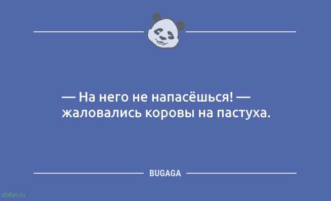 Шутки и анекдоты дня: «…бумеранг вернулся сам не свой» Шутки и анекдоты дня: «…бумеранг вернулся сам не свой»