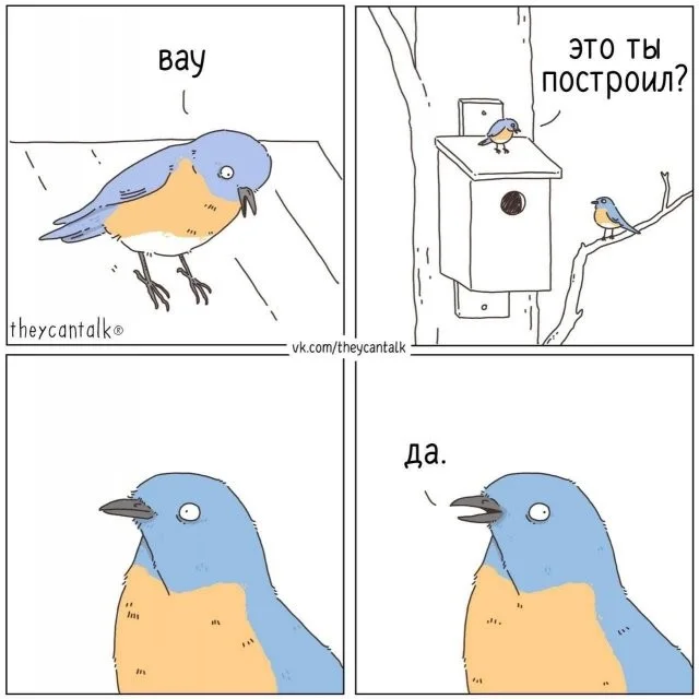 Смешные скрины из соцсетей #118