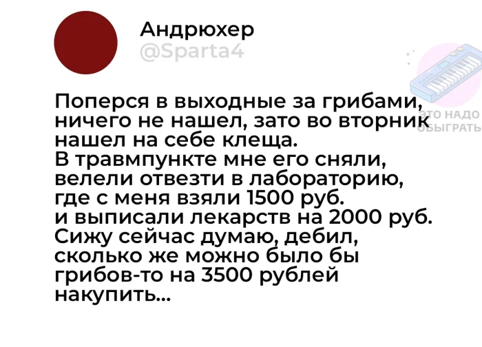 Осенний лес в красках: подборка тёплых и атмосферных фотографий