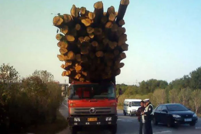 20 фото, доказывающих, что чувство самосохранения есть не у всех
