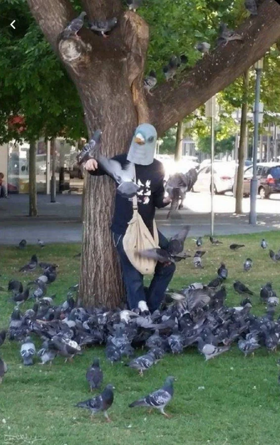 20 смешных ситуаций, которые напоминают: радость рядом 20 смешных ситуаций, которые напоминают: радость рядом