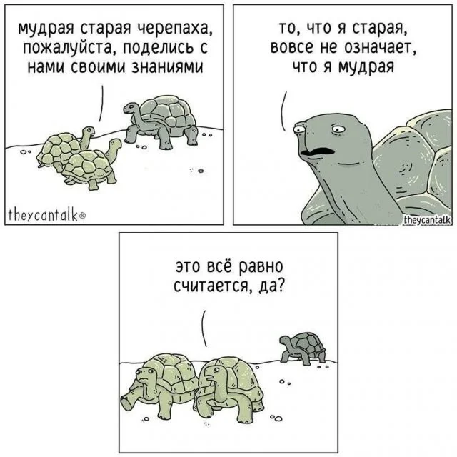 Смешные скрины из соцсетей #118