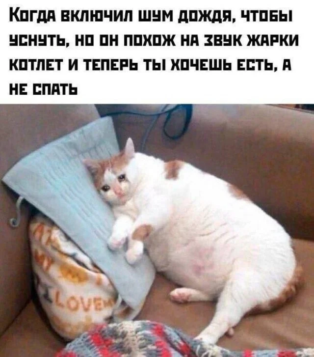 Смешные скрины из соцсетей #117