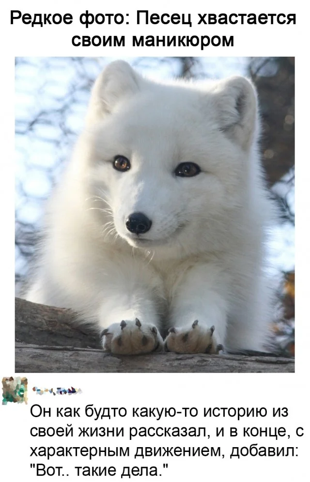 Ну такие себе мемы