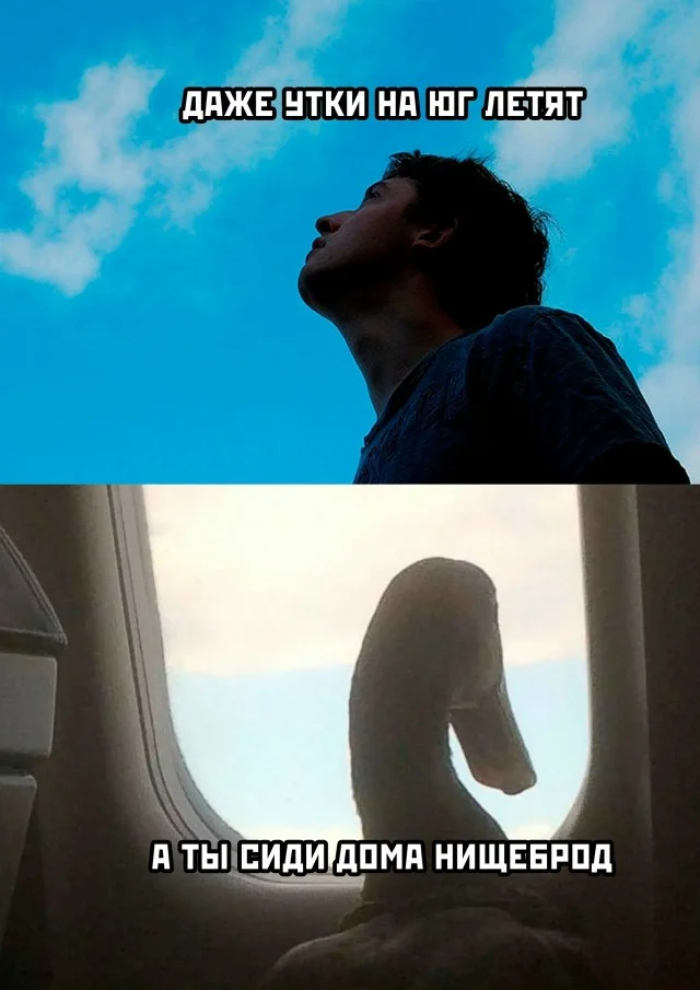 Свежие мемы