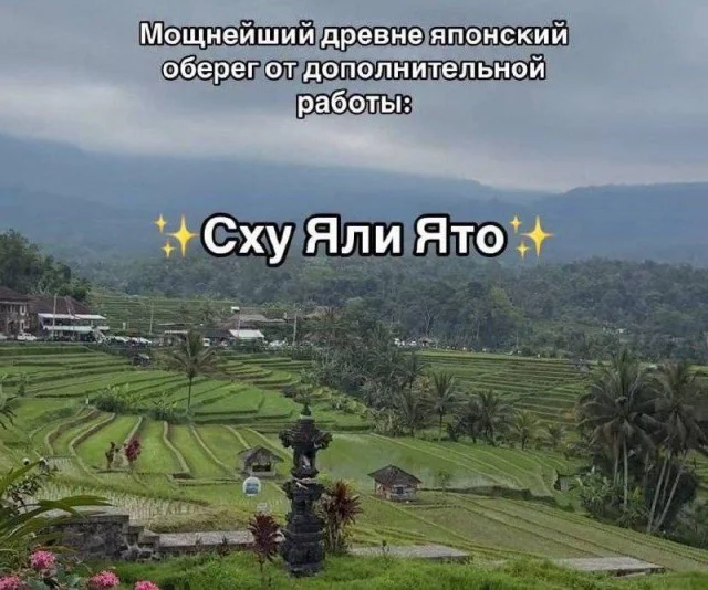 Деграднем с мемами?