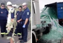 Когда всё пошло не по плану: 20 эпичных провалов, достойных чемпионства