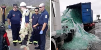 Когда всё пошло не по плану: 20 эпичных провалов, достойных чемпионства