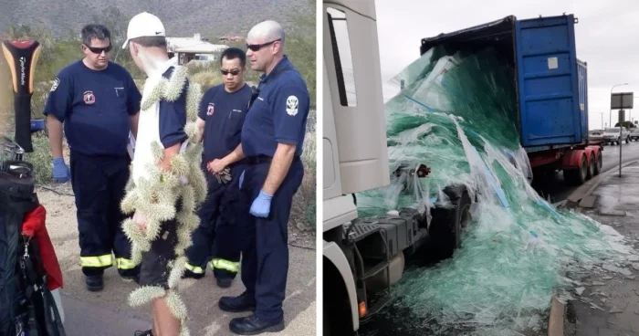 Когда всё пошло не по плану: 20 эпичных провалов, достойных чемпионства Когда всё пошло не по плану: 20 эпичных провалов, достойных чемпионства