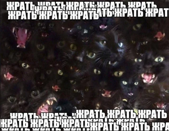 Деградацию в мемах заказывали?