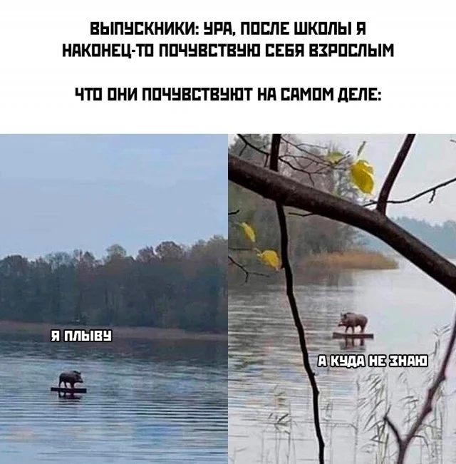 Прикольные мемы для настроения!