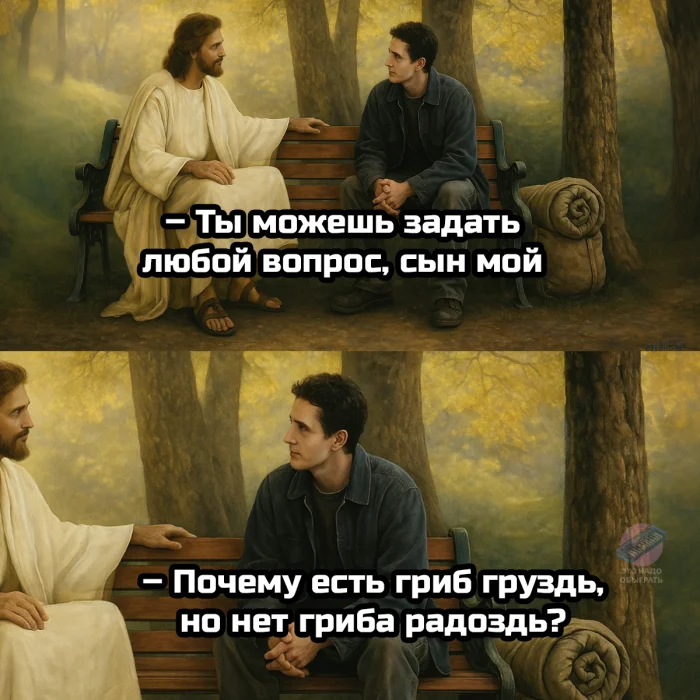 Осенний лес в красках: подборка тёплых и атмосферных фотографий