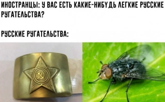 Мемы в ленту #1