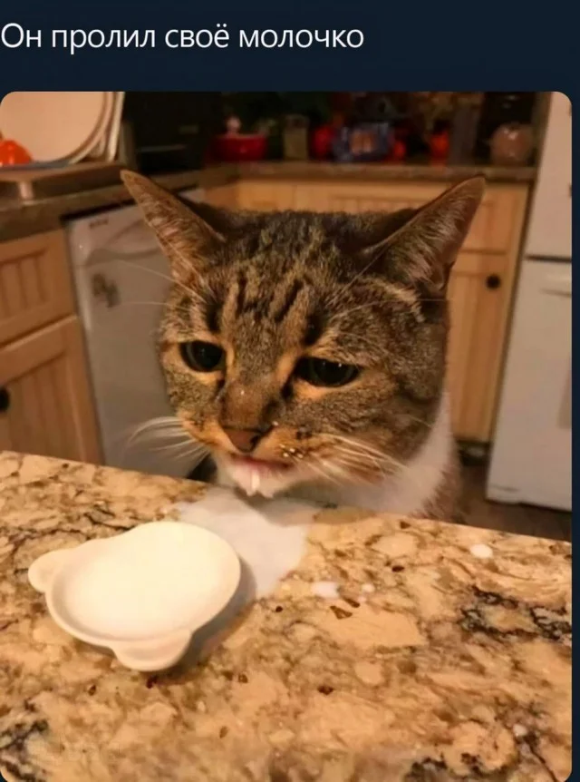 Деградационные мемы