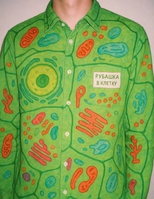 Заряжаем день позитивом: Мемы