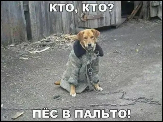 Ну такие себе мемы