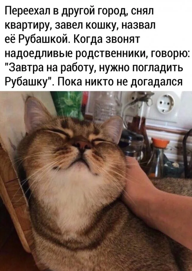 Мемы, что надо
