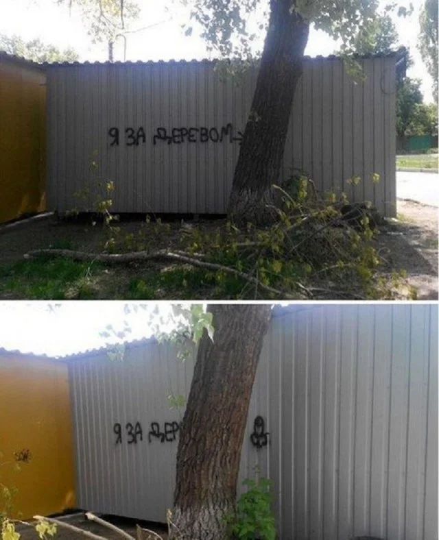 Весёлые мемы