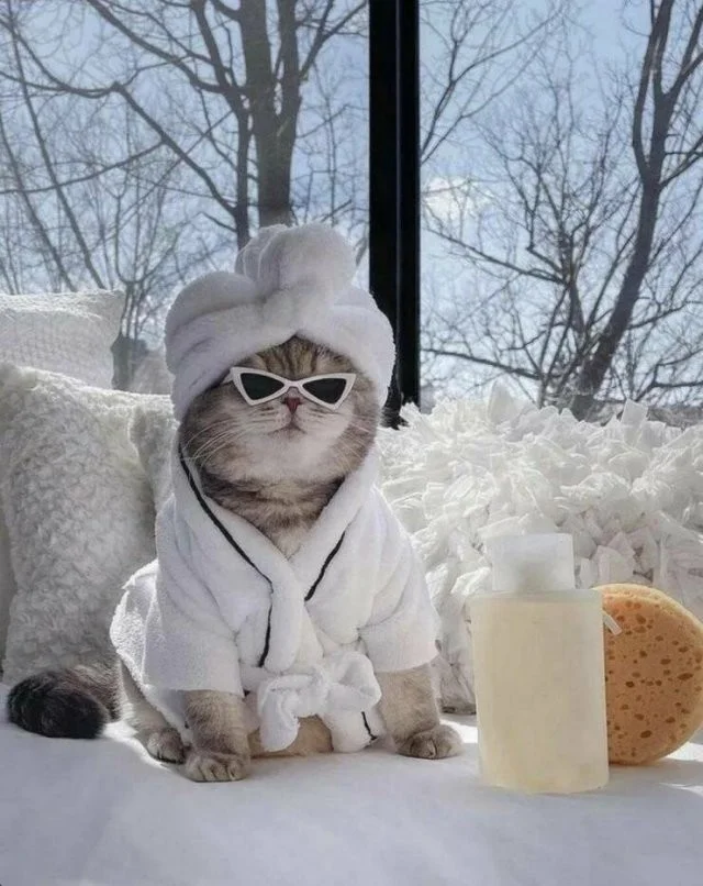 Смешные скрины из соцсетей #118