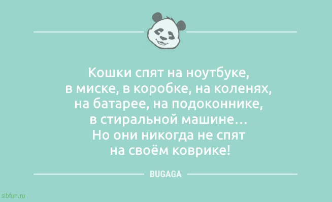 Анекдотов пост: «Считаю, что автомобилям нужен…» Анекдотов пост: «Считаю, что автомобилям нужен…»