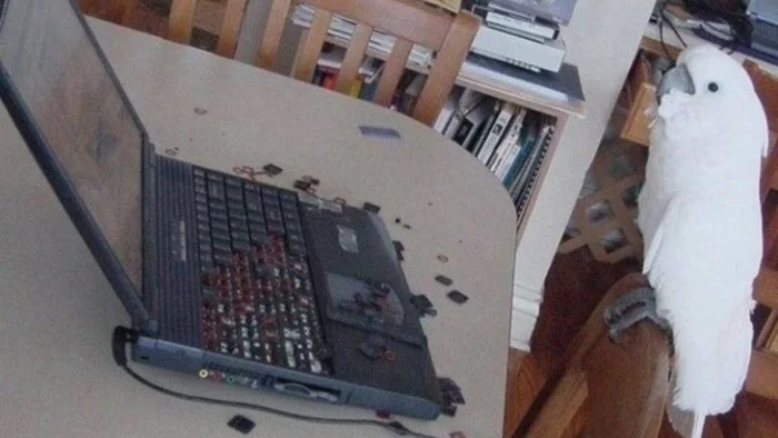 20 смешных ситуаций, которые напоминают: радость рядом 20 смешных ситуаций, которые напоминают: радость рядом