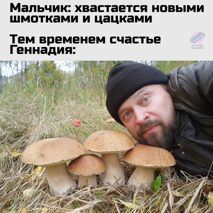 Осенний лес в красках: подборка тёплых и атмосферных фотографий