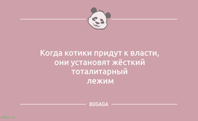 Анекдоты дня: «Что-то тараканы в голове притихли…» 