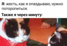 Смешные скрины из соцсетей #118