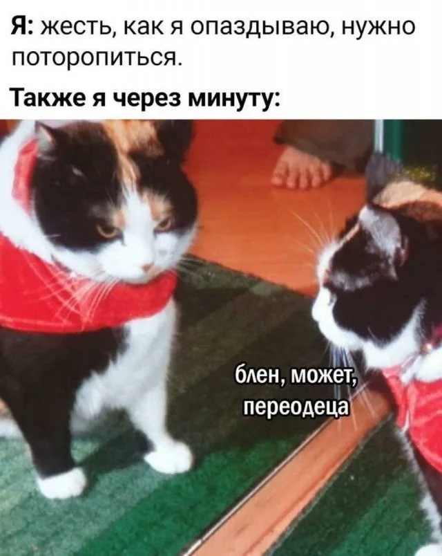 Смешные скрины из соцсетей #118